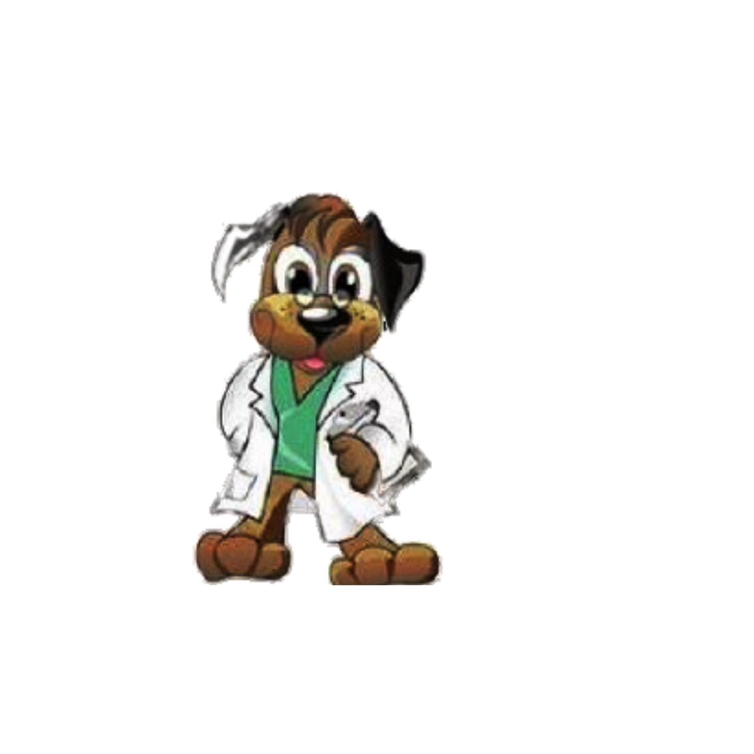 Mr.Vet